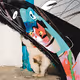 cat can give color.