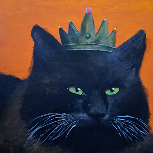 Cat & Dreamscape