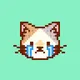 Pixel Cat Face NFT