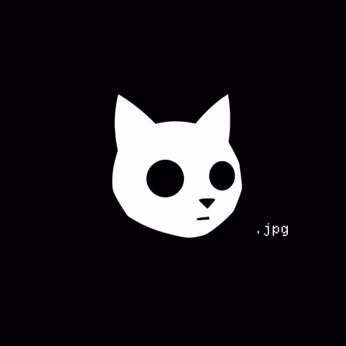 CAT.jpg