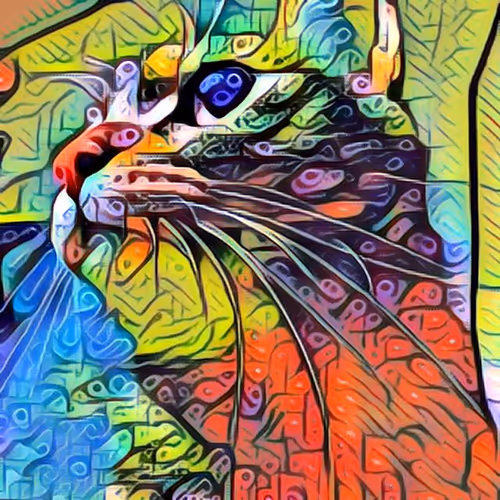 Cat@Mia