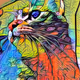 Cat@Mia