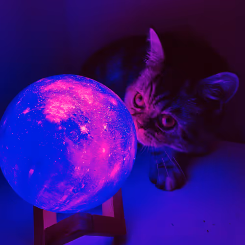Cat and the Moon V3 - old