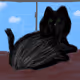 cat on the shelf