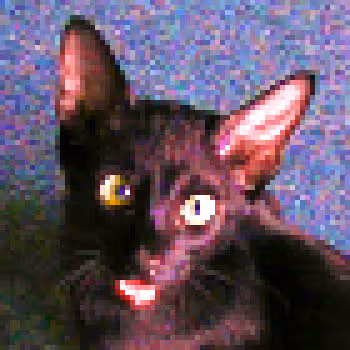 cat-owl-cat