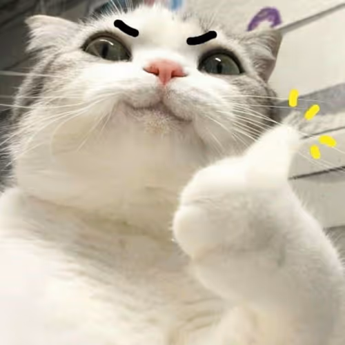 Cat - s8QjVluAnO - old