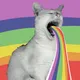 CAT Rainbow - old