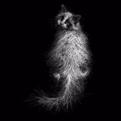 アイテム メディア プレースホルダー