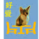 cat sitting on table with chairs chinese characters