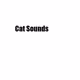 Cat Sounds