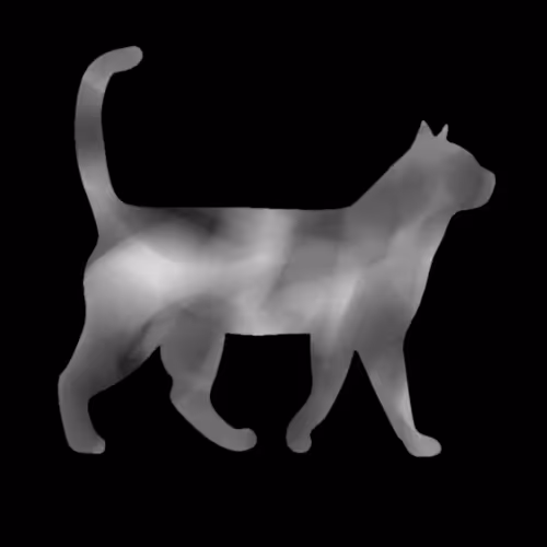 Cat - 9w3fpFCSRE - old