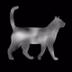 Cat - 9w3fpFCSRE - old