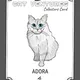 Cat Ventures Collectors Card Club
