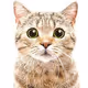 CAT9999