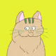 cat &peace