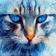 Cat Canvas Studio