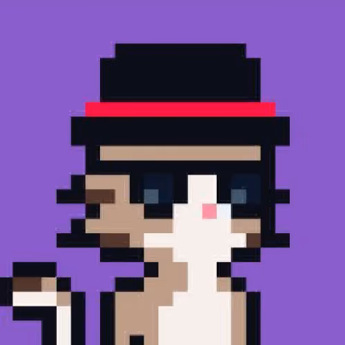Catcatcat
