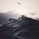 Catch me - old