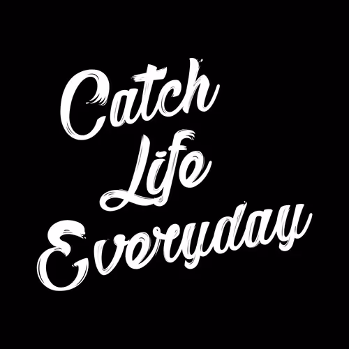 CATCH LIFE PiEcEs - old