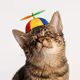 CATE