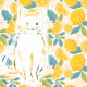 Cat eating a lemon