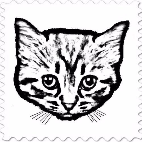 Cat Eden