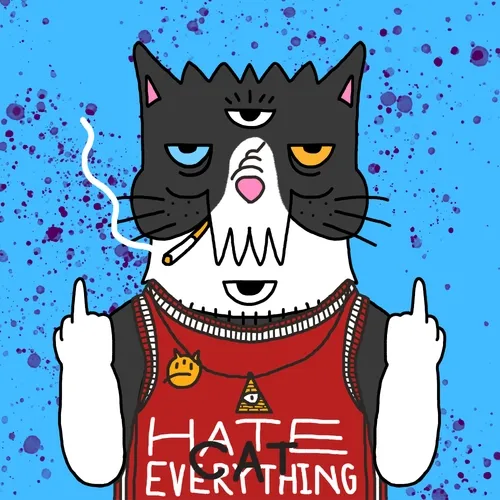 CAT HATE EVERYTHING