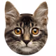 Cathead Number 2 (Fluffy) - old