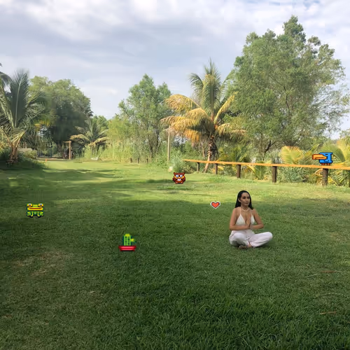 Catita into the pixerworld