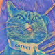 CatNet