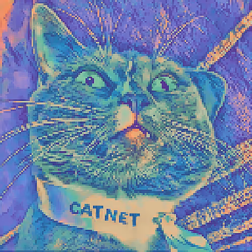 CatNet