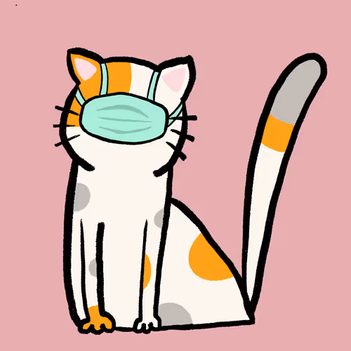 Catnib - old