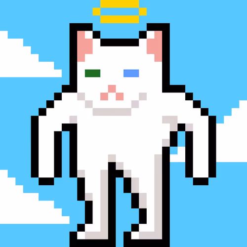 Catnift Collection Pro