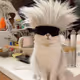CATORU