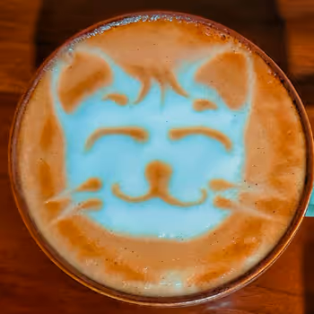 Catpuccino