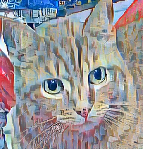 Cat's cats