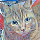 Cat's cats