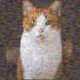 Cats Collection Cloud Artist