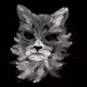 Cats in Feathers