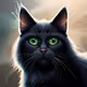 Cats Jootech