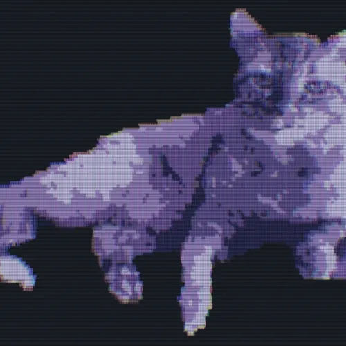 Cats of the Metaverse!