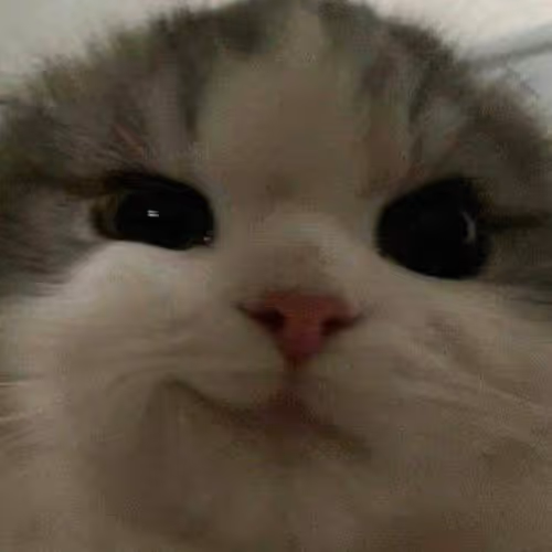 CatSaddly
