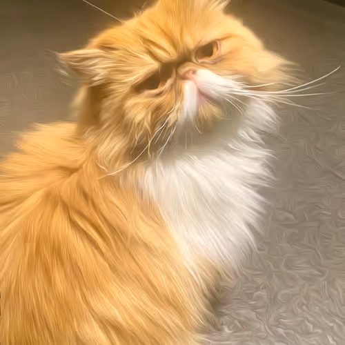 CATS by RCA