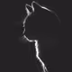 CatSilhouette