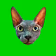 catswwww - old