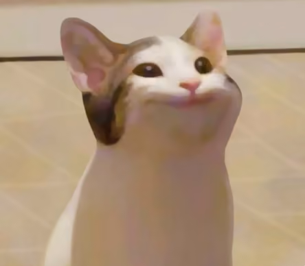 CATTY rh