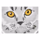 CatV