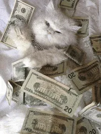 $Catz$
