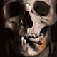deads skulls