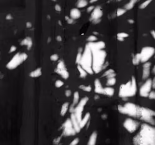 bw abstract photography - old